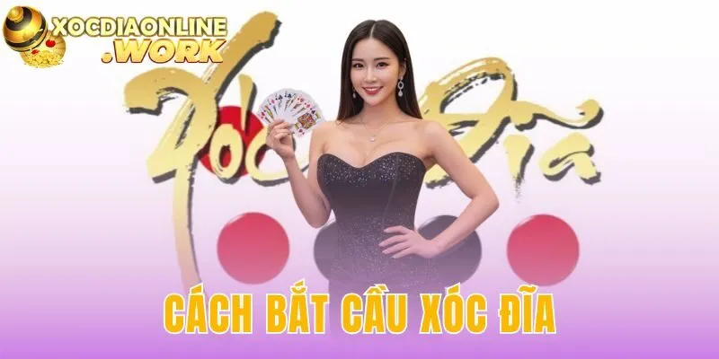 Cách Bắt Cầu Xóc Đĩa