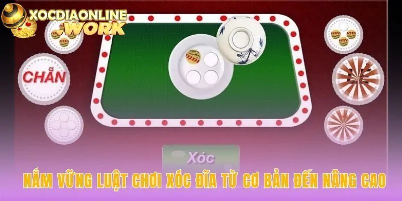 Luật chơi xóc đĩa giải thích các cửa cược từ chẵn lẻ tới bắt vị