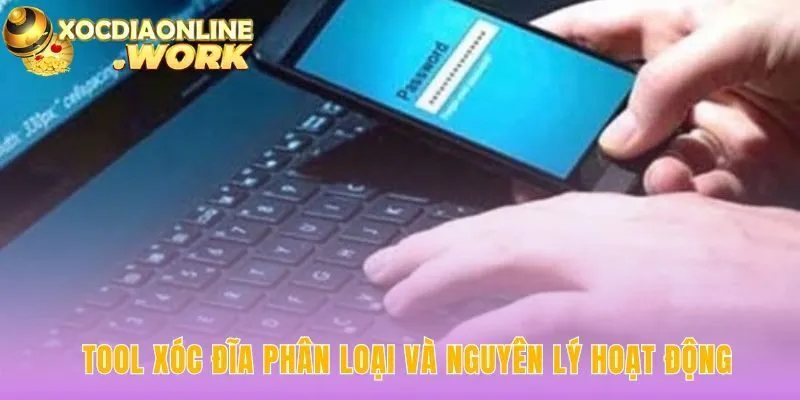 Phân loại tool dựa trên phân tích dữ liệu và rủi ro lừa đảo